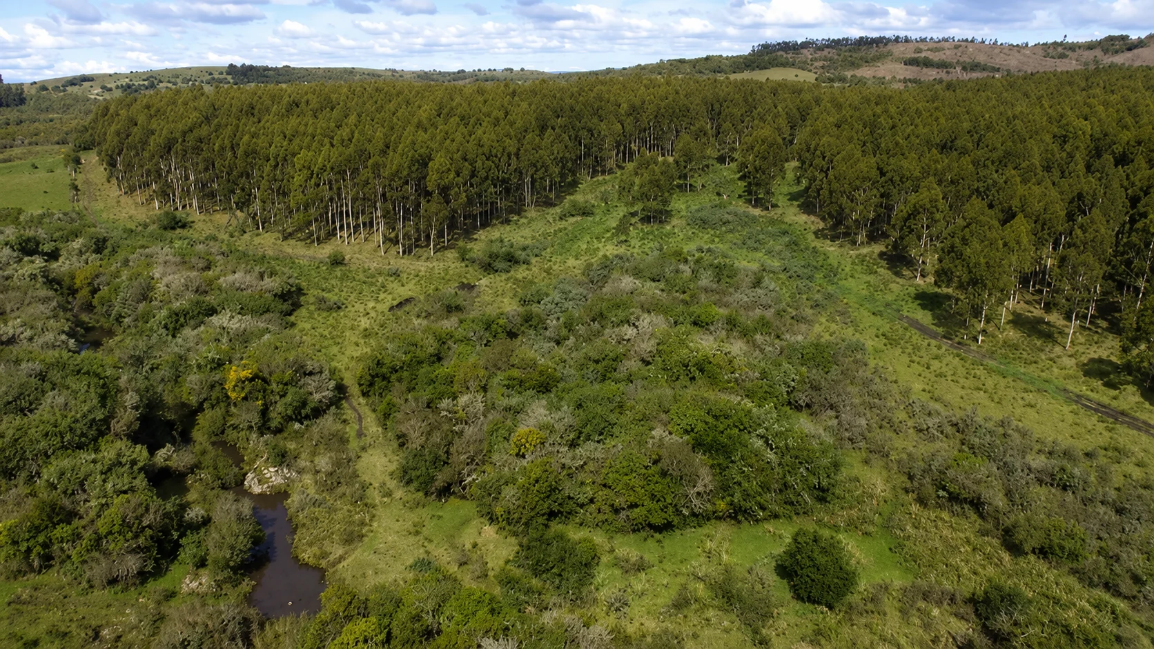 Proyecto Lavardín